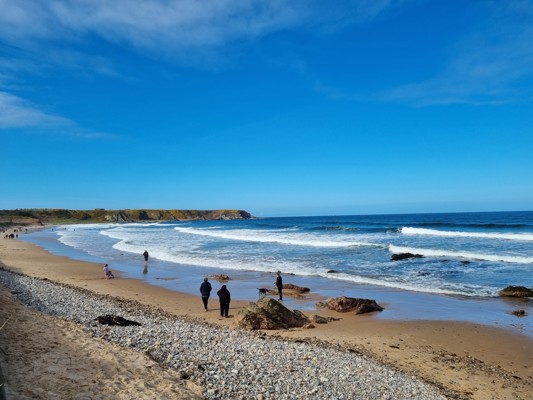 20230407 145317 Cullenblog Robinmckelvie