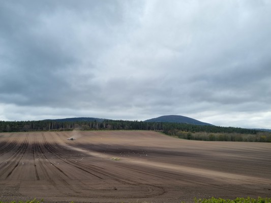 20230422 173432 Cullenblog Robinmckelvie