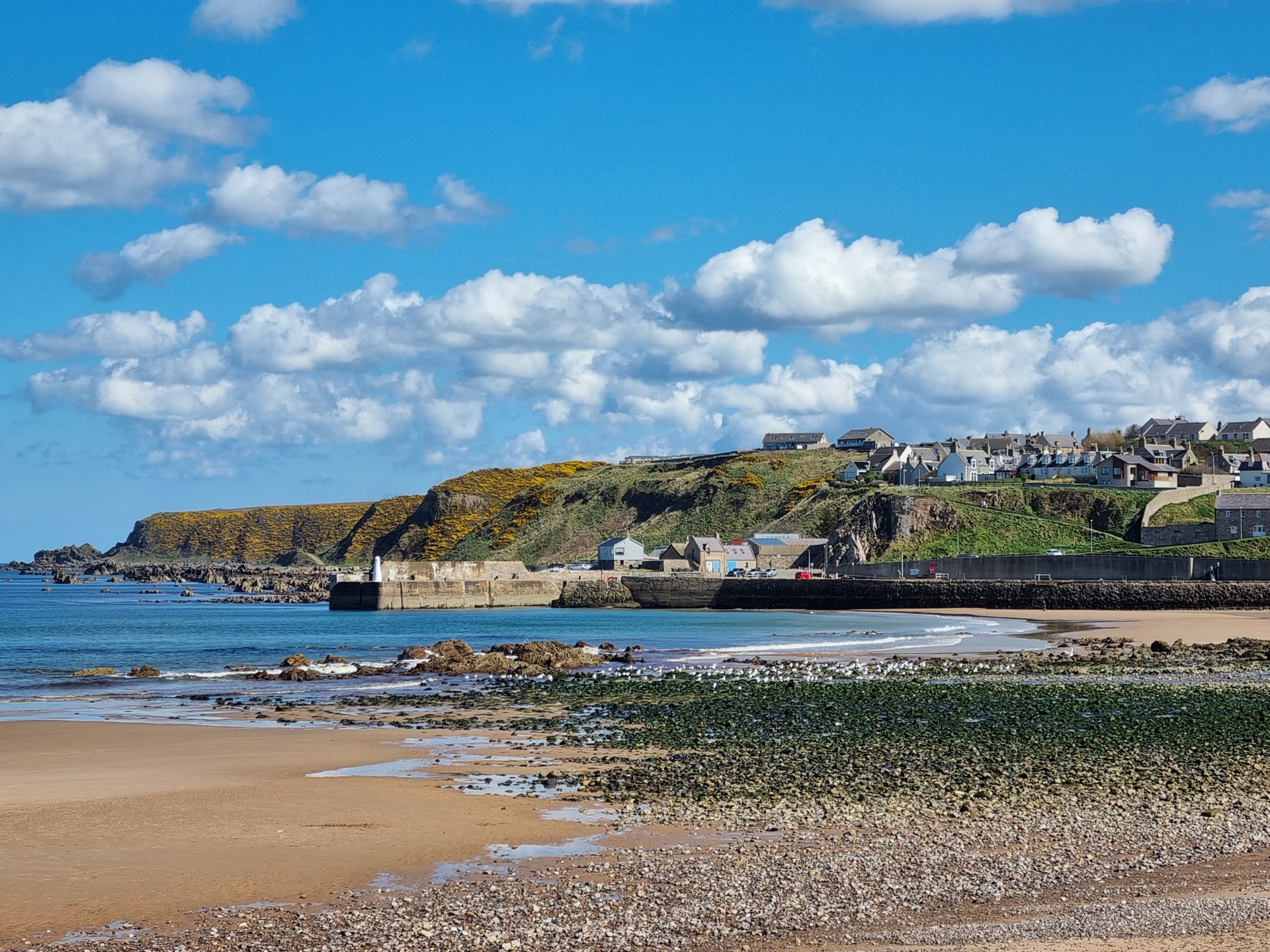 Background image - 20230415 134129 Cullenblog Robinmckelvie